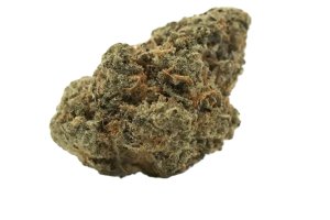 Truth Holdings LH 29/1